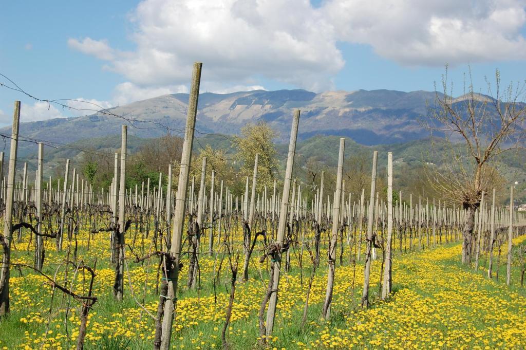 Locanda La Candola Soligo Екстериор снимка
